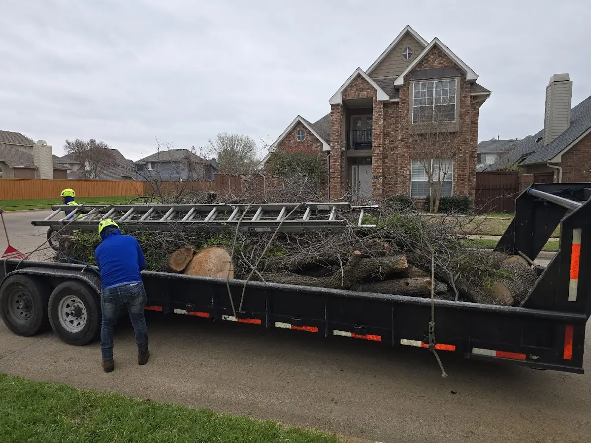 Expert Crown Reduction with proper safety equipment in Northwood